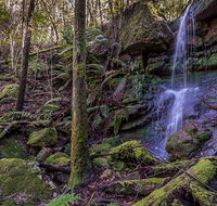 Coorabakh National Park - Tourism Noosa