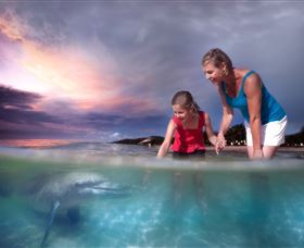  Tourism Noosa