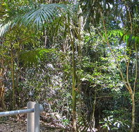 Goorgana walking track - Tourism Noosa