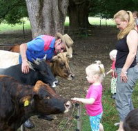 Crystal Creek Miniatures - Tourism Noosa