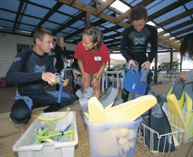 Dolphin Discovery Centre - Tourism Noosa 1