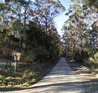Box Cutting Rainforest Walk - Tourism Noosa
