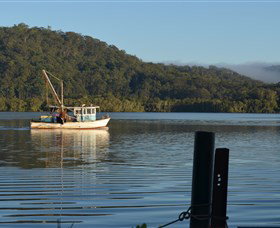 Kingstudio Gallery - Tourism Noosa 6