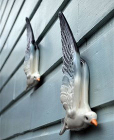 Kingstudio Gallery - Tourism Noosa 5