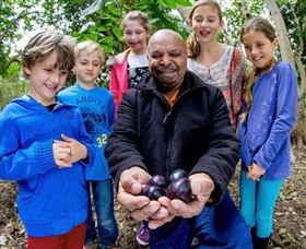 Wigay Aboriginal Culture Park - Tourism Noosa 0