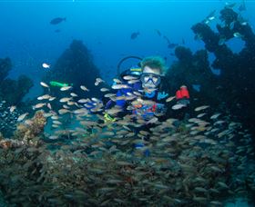 Aarhus Dive Site - Tourism Noosa 0