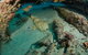 Aarhus Dive Site - thumb 3