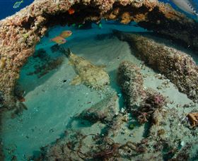 Aarhus Dive Site - Tourism Noosa 3