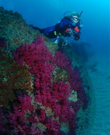 Aarhus Dive Site - Tourism Noosa 2