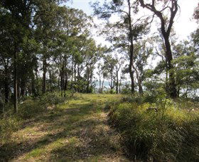 Ringlands Rotary Walk Narooma - Tourism Noosa 2