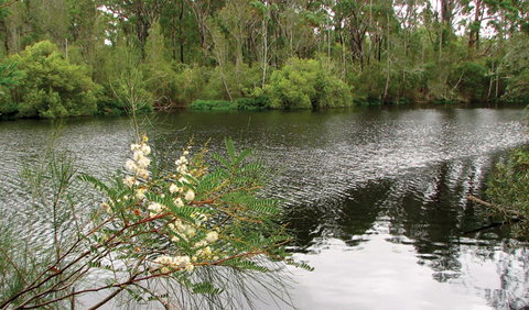 Wallingat National Park - Tourism Noosa 0