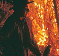 The Shed Gallery - Tourism Noosa