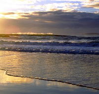 Handkerchief Beach Picnic Area - Tourism Noosa
