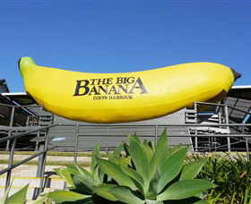 The Big Banana - Tourism Noosa 0