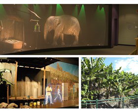 The Big Banana - Tourism Noosa 2