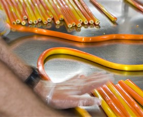 The Big Banana - Tourism Noosa 4