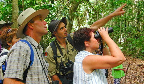Falls Walking Track - Tourism Noosa 0