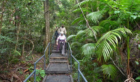 Falls Walking Track - Tourism Noosa 2