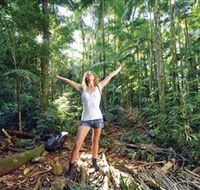 Victoria Park Nature Reserve - Tourism Noosa