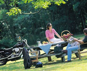 Victoria Park Nature Reserve - Tourism Noosa 2