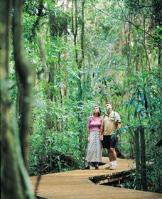 Victoria Park Nature Reserve - Tourism Noosa 1