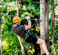 TreeTop Challenge Currumbin - Tourism Noosa