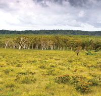 Yuraygir National Park - Tourism Noosa