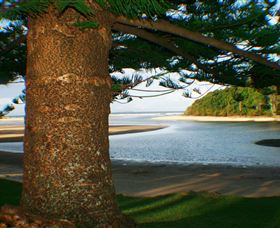 Moonee Beach - Tourism Noosa 1