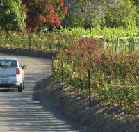 Cassegrain Wines - Tourism Noosa