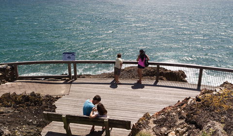 Eastern Side Lookout - Tourism Noosa 0
