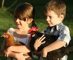 Summerland House Farm - House With No Steps - Tourism Noosa 2