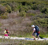 Yuraygir coastal walk - Tourism Noosa