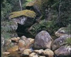 Mumbulla Creek Falls And Picnic Area - Tourism Noosa 1