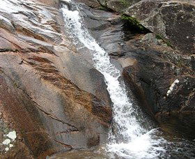 Mumbulla Creek Falls And Picnic Area - Tourism Noosa 0