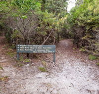 Angophora grove walking track - Tourism Noosa