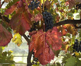 Mimosa Wines - Tourism Noosa 1