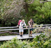Wilsons Headland walking track - Tourism Noosa
