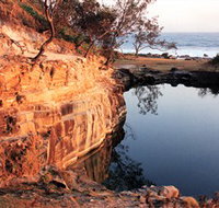 Angourie Blue Pool - Tourism Noosa