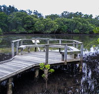 Walk on Water walking track - Tourism Noosa
