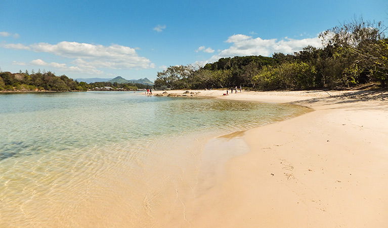 Brunswick Heads NSW Tourism Noosa