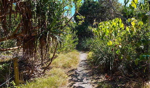 North Head Walking Track - Tourism Noosa 0