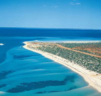 Monkey Mia - Tourism Noosa