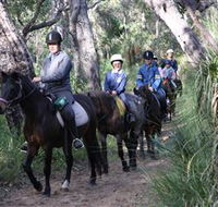 Mirravale Horse Riding School - Tourism Noosa