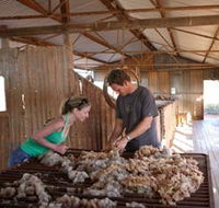 Peron Homestead - Tourism Noosa