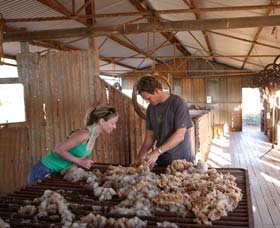 Peron Homestead - Tourism Noosa 0