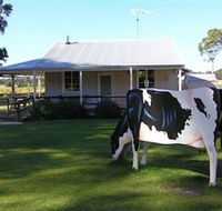 Millers Ice Cream - Tourism Noosa