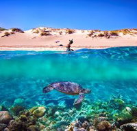 Snorkel the Ningaloo Reef - Tourism Noosa