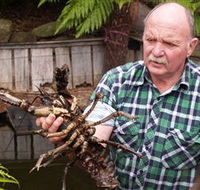 Lobster Ponds - Tourism Noosa