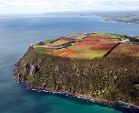 Table Cape - Tourism Noosa 0