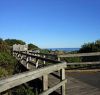 Lillico Beach - Tourism Noosa